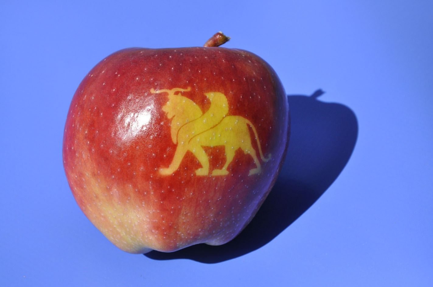 Apples with different symbols on blue background